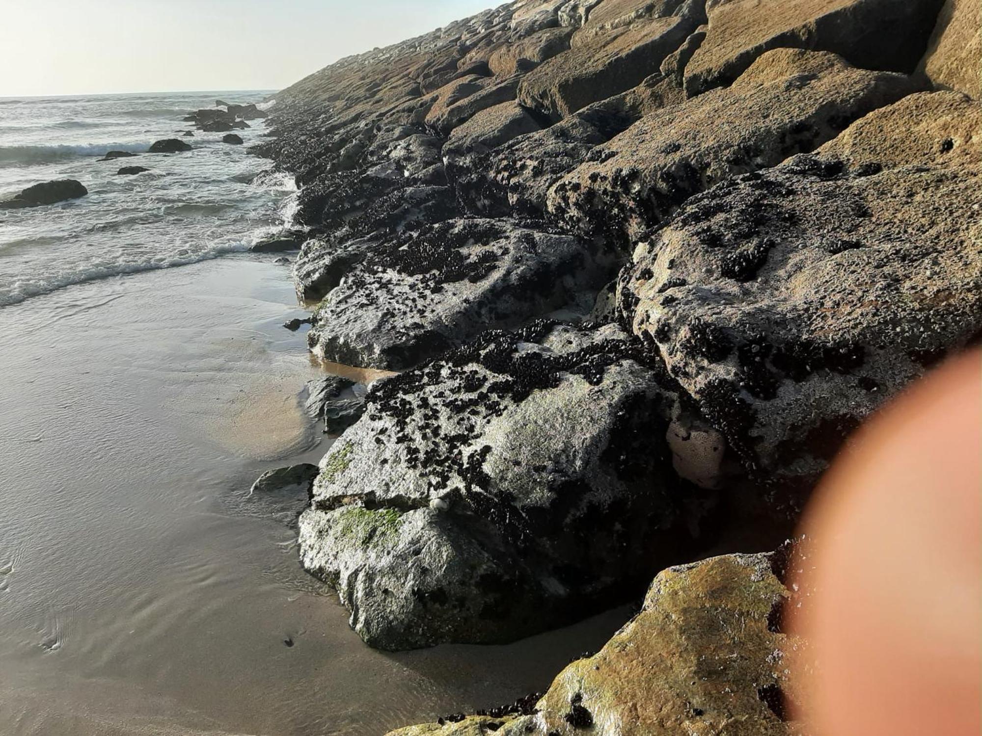 Sol E Mar Lejlighed Esmoriz Eksteriør billede